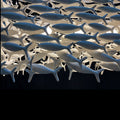 Porcelain Fish Shape Dining Table Chandelier-King Lamps