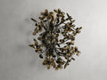 Fiore 2-Light Wall Sconce - King Lamps