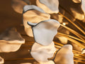Lunaria Chandelier - King Lamps