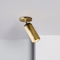 Champeaux Pivoting Flushmount 9
