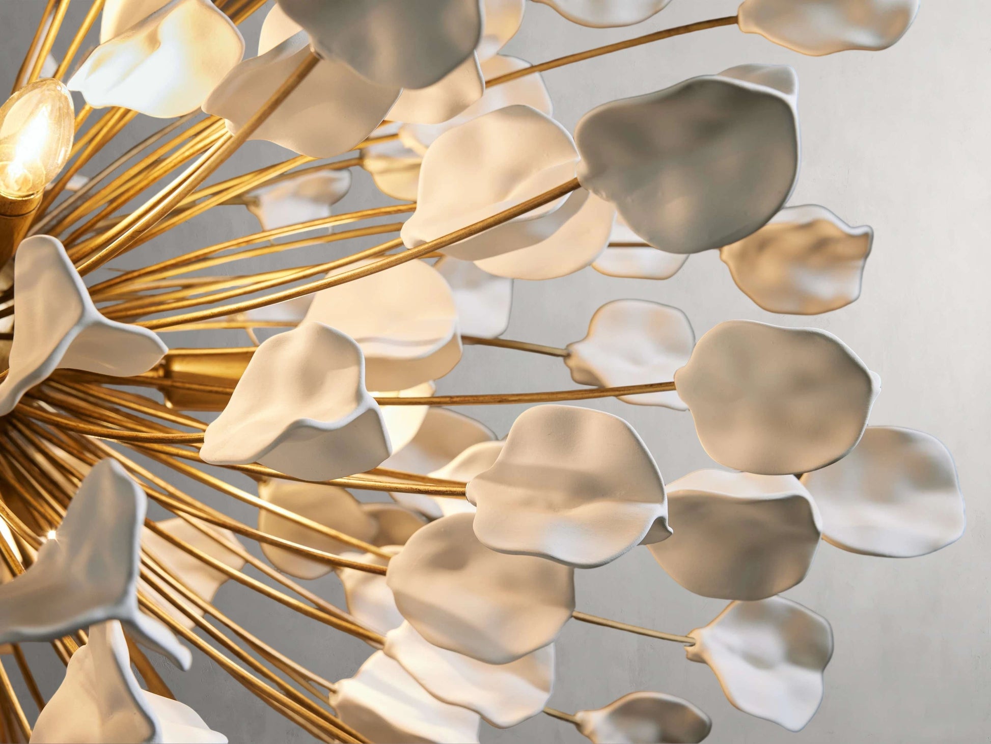 Lunaria Hushed Bloom Round Chandelier