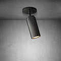 Champeaux Pivoting Flushmount 9