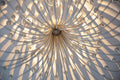 Modern Art Design 5/6-Light Modern Branch Modeling Chandelier in White/Black