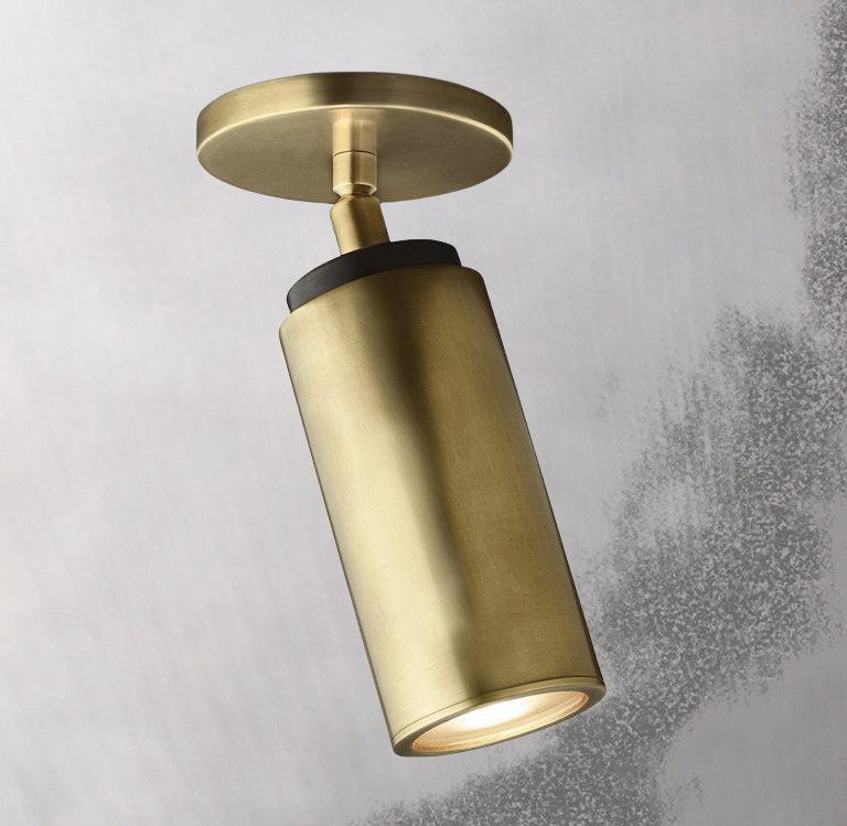Champeaux Brass Pivoting Flushmount 4½”D - King Lamps